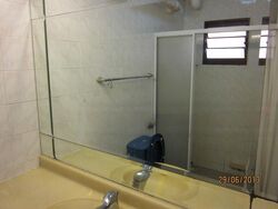 Blk 184 Stirling Rise (Queenstown), HDB 5 Rooms #608029871
